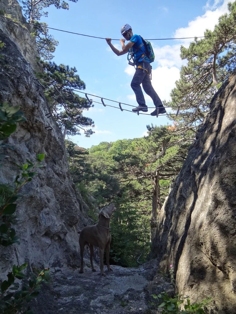 Klettersteigen Oostenrijk
