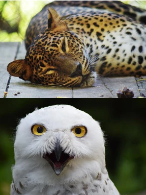 Zoo Brno