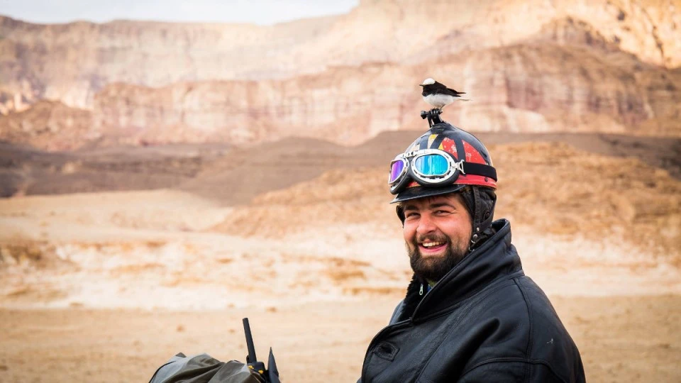 Brommers in Afrika - bestemming Kaapstad