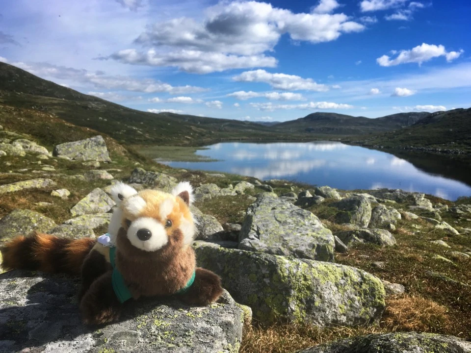 Expeditie Norway - landschap