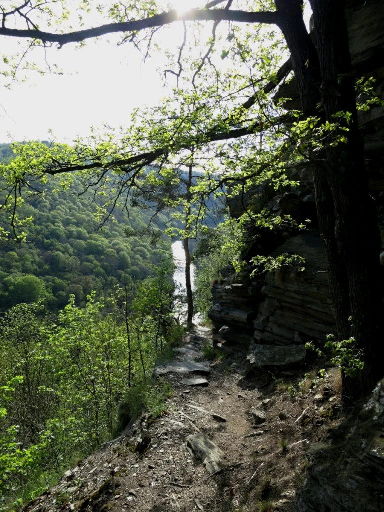 IJsgrotten